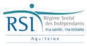 Logo du RSI